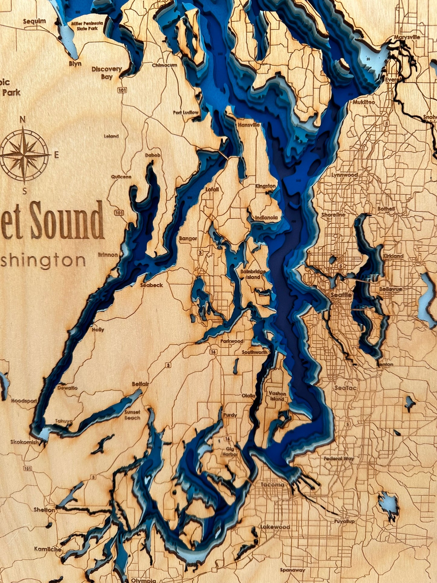 Bathymetric Map - Puget Sound