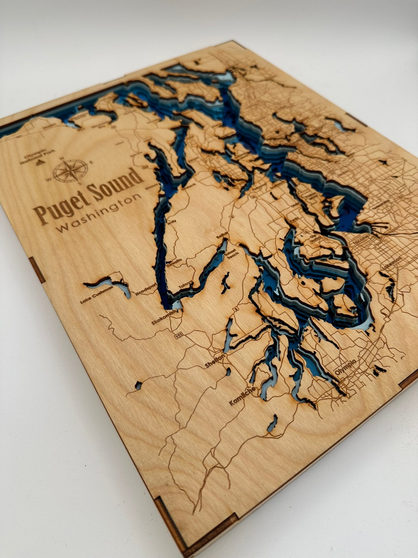 Bathymetric Map - Puget Sound