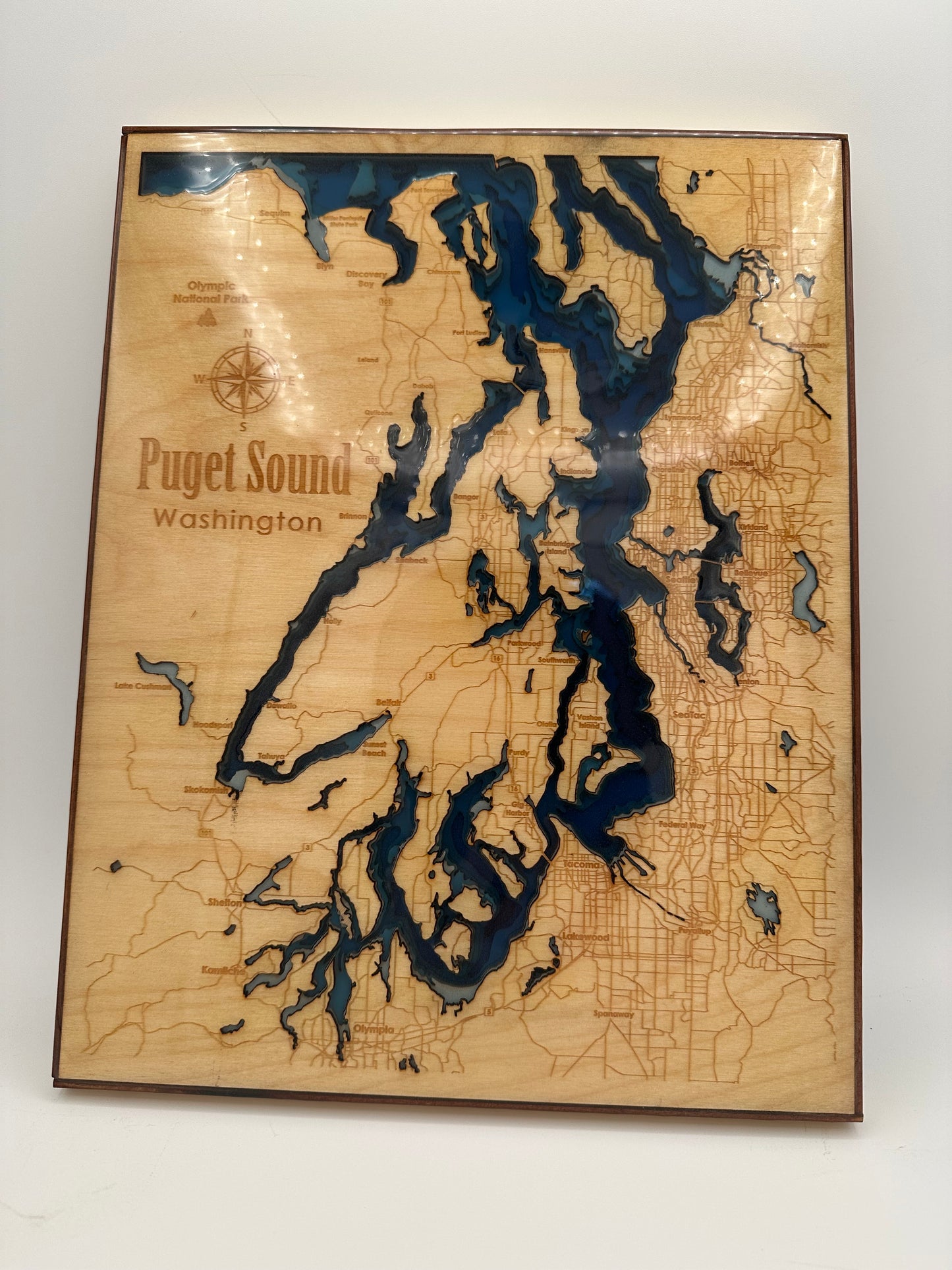 Bathymetric Map - Puget Sound